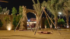 VIP premium desert safari